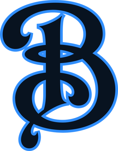 Bryce IT Consulting